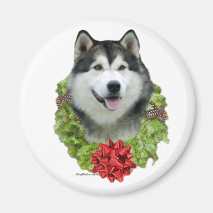 Alaskan Malamute krans - magneet