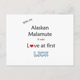 Alaskan Malamute Lick Design Briefkaart