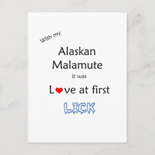 Alaskan Malamute Lick Design Briefkaart