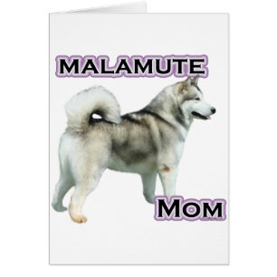Alaskan Malamute Maman 4