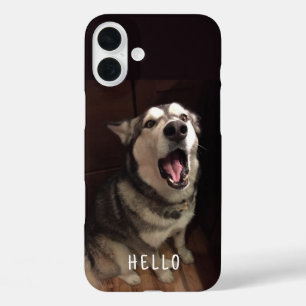Alaskan Malamute met open mondfoto iPhone 16 Plus Hoesje
