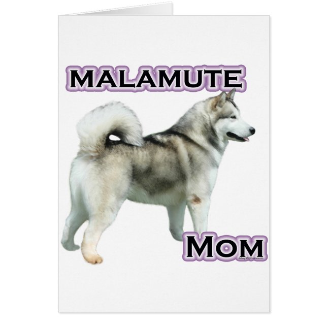 Alaskan Malamute Moeder 4 (Voorkant)