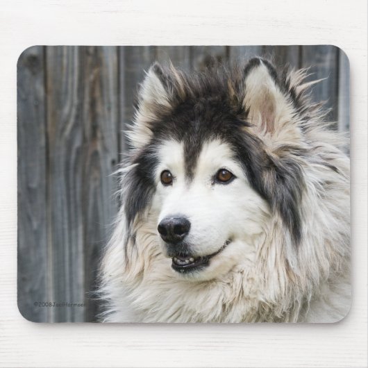 Alaskan Malamute mousepad Muismat (Voorkant)