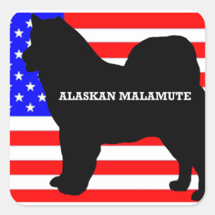 alaskan malamute name silo op vlag vierkante sticker