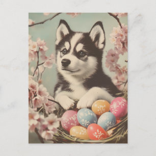 Alaskan malamute Pasen Briefkaart