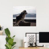 Alaskan Malamute Poster (Thuiskantoor)