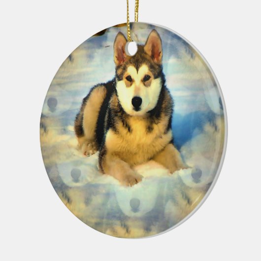 Alaskan Malamute Puppies Ornament (Links)