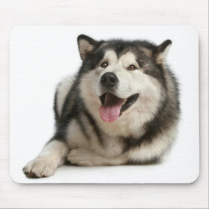 Alaskan Malamute Puppy Dog Mousepad Muismat