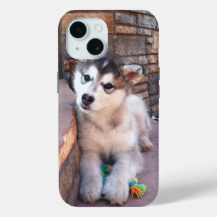 Alaskan Malamute Puppy Head-kantelfoto