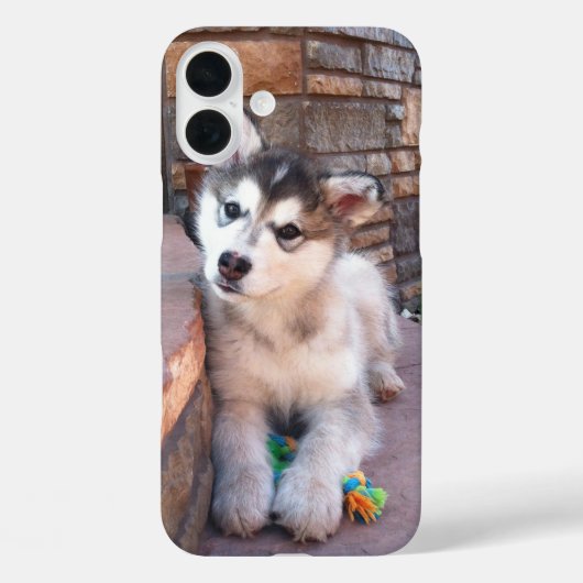 Alaskan Malamute Puppy Head-kantelfoto Case-Mate iPhone Case (Achterkant)