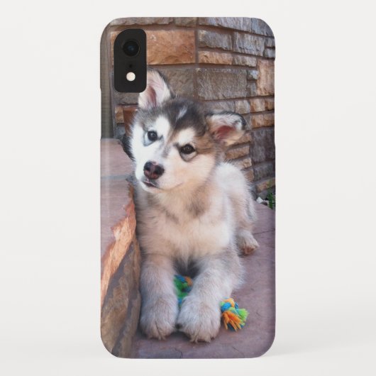 Alaskan Malamute Puppy Head-kantelfoto Case-Mate iPhone Case (Achterkant)
