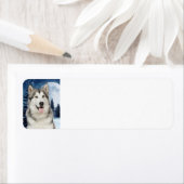 Alaskan Malamute Return-adreslabel Etiket (Insitu)