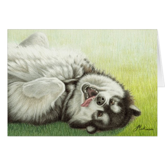 Alaskan Malamute Rolling (Voorkant Horizontaal)