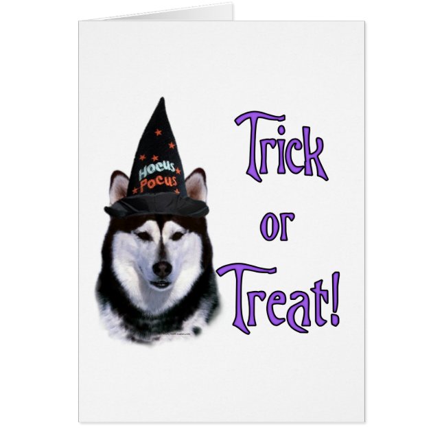 Alaskan Malamute Trick (Devant)