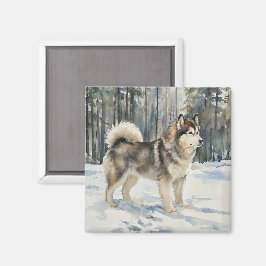 Alaskan Malamute Trinket Box Magneet