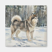 Alaskan Malamute Trinket Box Magneet (Voorkant)