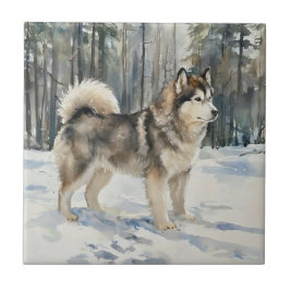 Alaskan Malamute Trinket Box Tegeltje