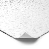 Alaskan Malamutes Poster (Hoek)