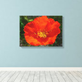 Alaskan Red Poppy Colorful Flower Canvas Afdruk (Insitu (Houten vloer))