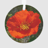 Alaskan Red Poppy Colorful Flower Ornament (achterkant)