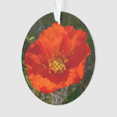 Alaskan Red Poppy Colorful Flower Ornament (voorkant)
