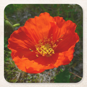 Alaskan Red Poppy Colorful Flower Vierkante Kartonnen Onderzetter