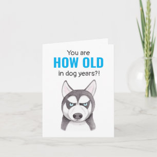 Alaskan Siberian Husky Funny Dog Lover Birthday Kaart