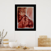 Alaskan Snow Wolves Poster (Keuken)