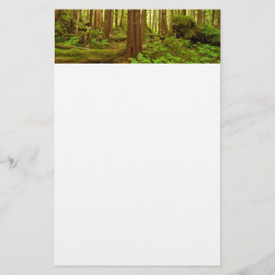 Alaskan Temperate Rainforest Briefpapier
