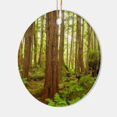 Alaskan Temperate Rainforest Keramisch Ornament (Links)