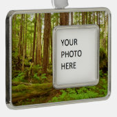 Alaskan Temperate Rainforest Verzilverd Kader Ornament (Rechts)