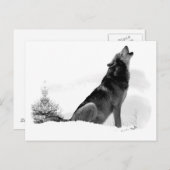 Alaskan Timber Wolf Briefkaart (Voorkant / Achterkant)