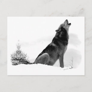 Alaskan Timber Wolf Briefkaart