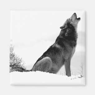 Alaskan Timber Wolf Refig Magnet Magneet