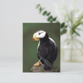 Alaskan Wildlife Briefkaart (Staand voorkant)