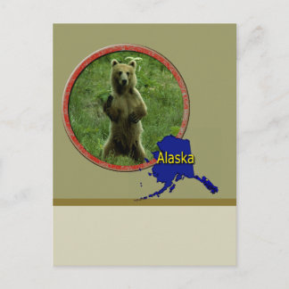 Alaskan Wildlife Briefkaart