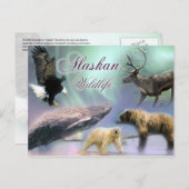 Alaskan Wildlife Briefkaart (Voorkant / Achterkant)