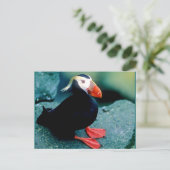 Alaskan Wildlife Briefkaart (Staand voorkant)