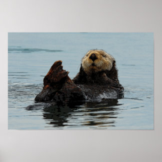 Alaskan Zee Otter Poster