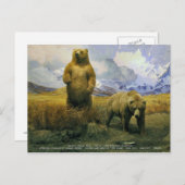 alaskanbruin beer briefkaart (Voorkant / Achterkant)