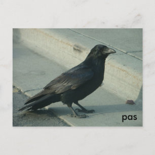 alaskanraven briefkaart