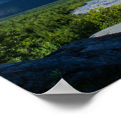 Alaska's Exit Glacier Valley Poster (Hoek)