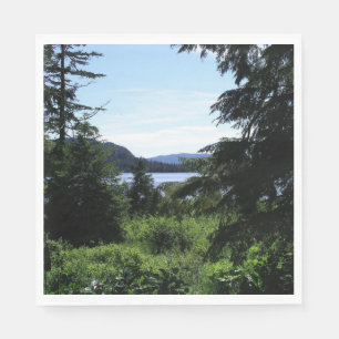 Alaskisch Landschap Mooie Alaska Fotografie Servet