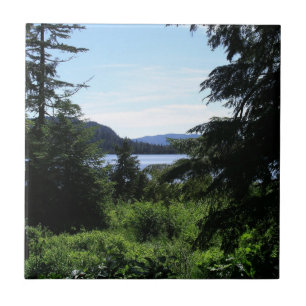 Alaskisch Landschap Mooie Alaska Fotografie Tegeltje