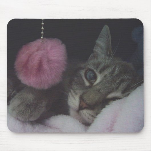 Alayna Muismat (Voorkant)