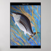 Albacore Poster (Voorkant)