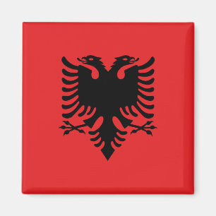 Albanese vlag magneet