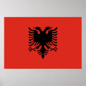 Albanese vlag poster (Voorkant)