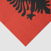 albania vlag tissuepapier (Detail)