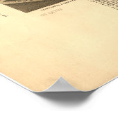 Albany Georgia 1885 Panorama Map Poster (Hoek)